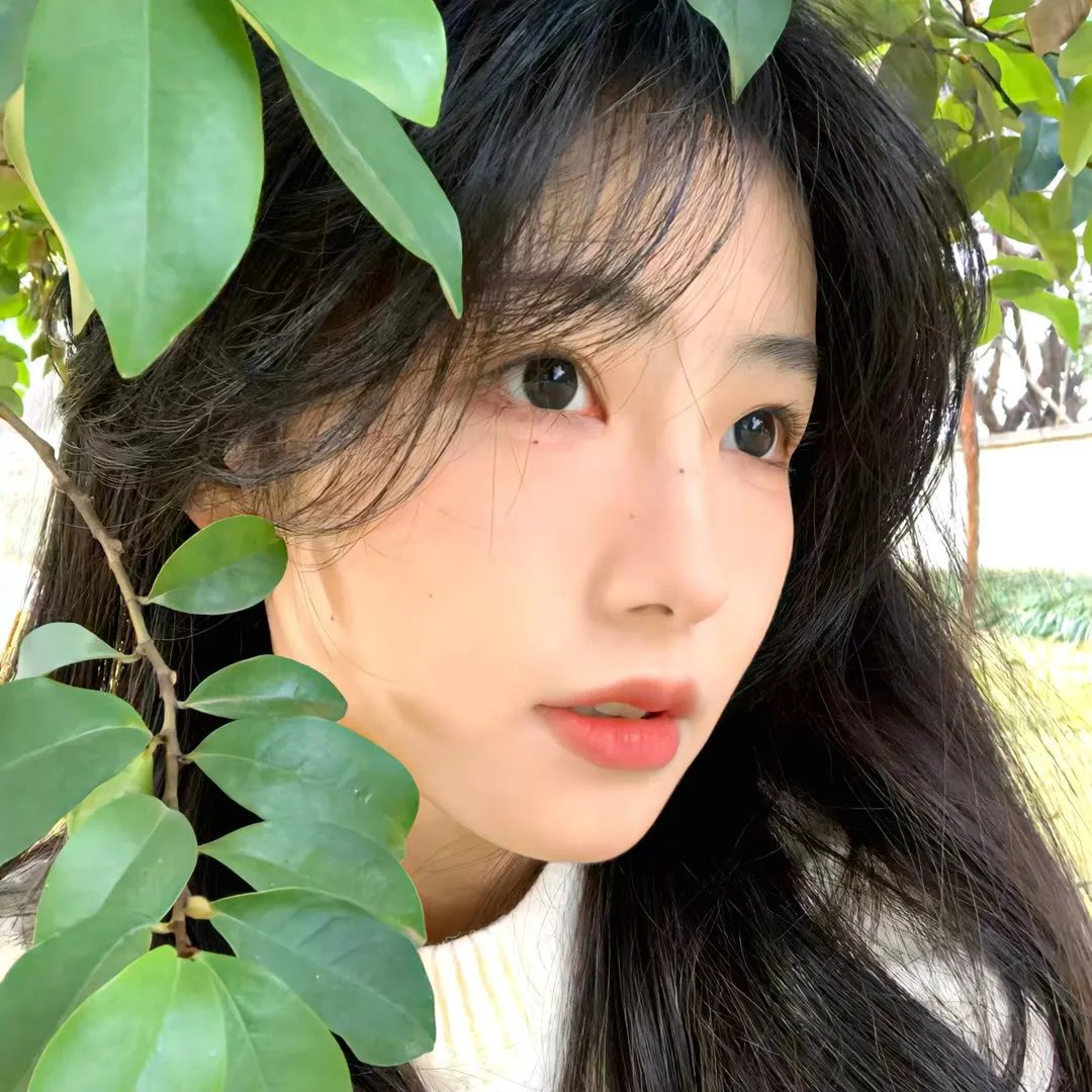山中森林